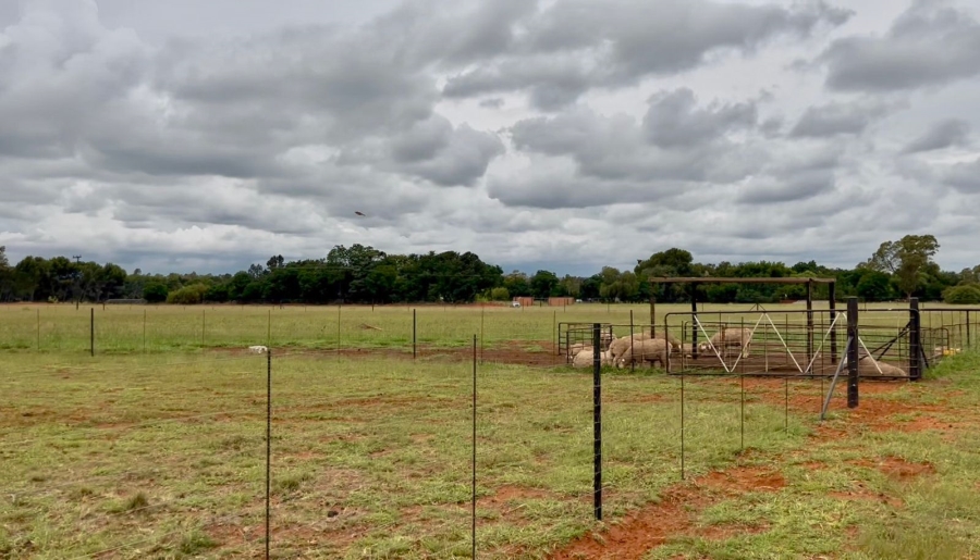 3 Bedroom Property for Sale in Bainsvlei Free State